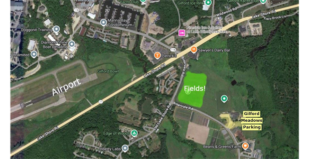 Gilford Meadows Field Diagram